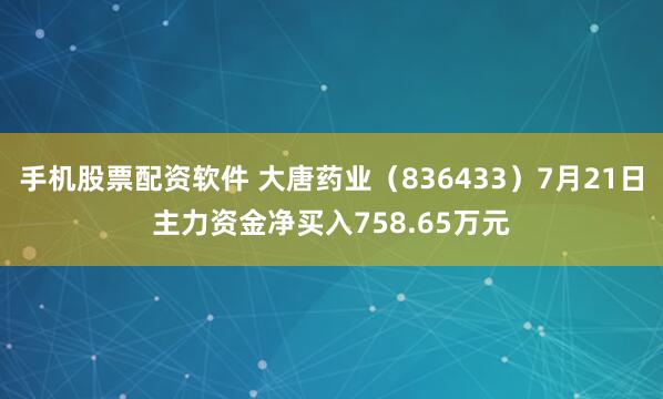 手机股票配资软件 大唐药业（836433）7月21日主力资金净买入758.65万元